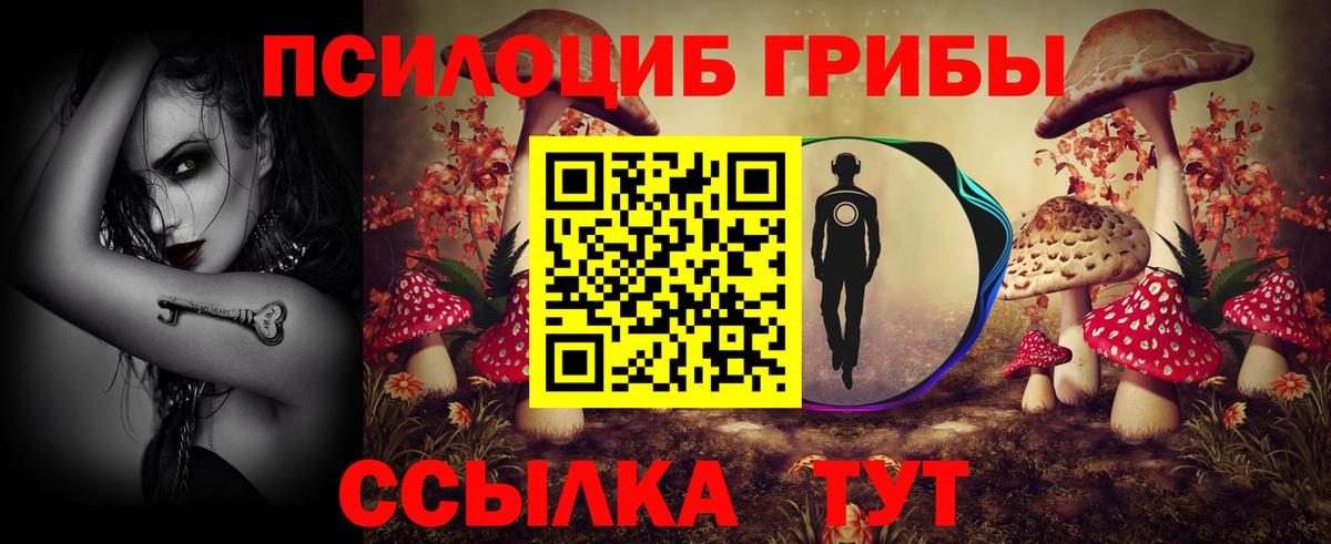 Саранск  Галлюциногенные грибы мухоморы  Вход с VPN 